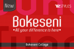 Bokeseni College Font Review