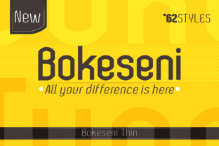 Bokeseni Thin Font Review